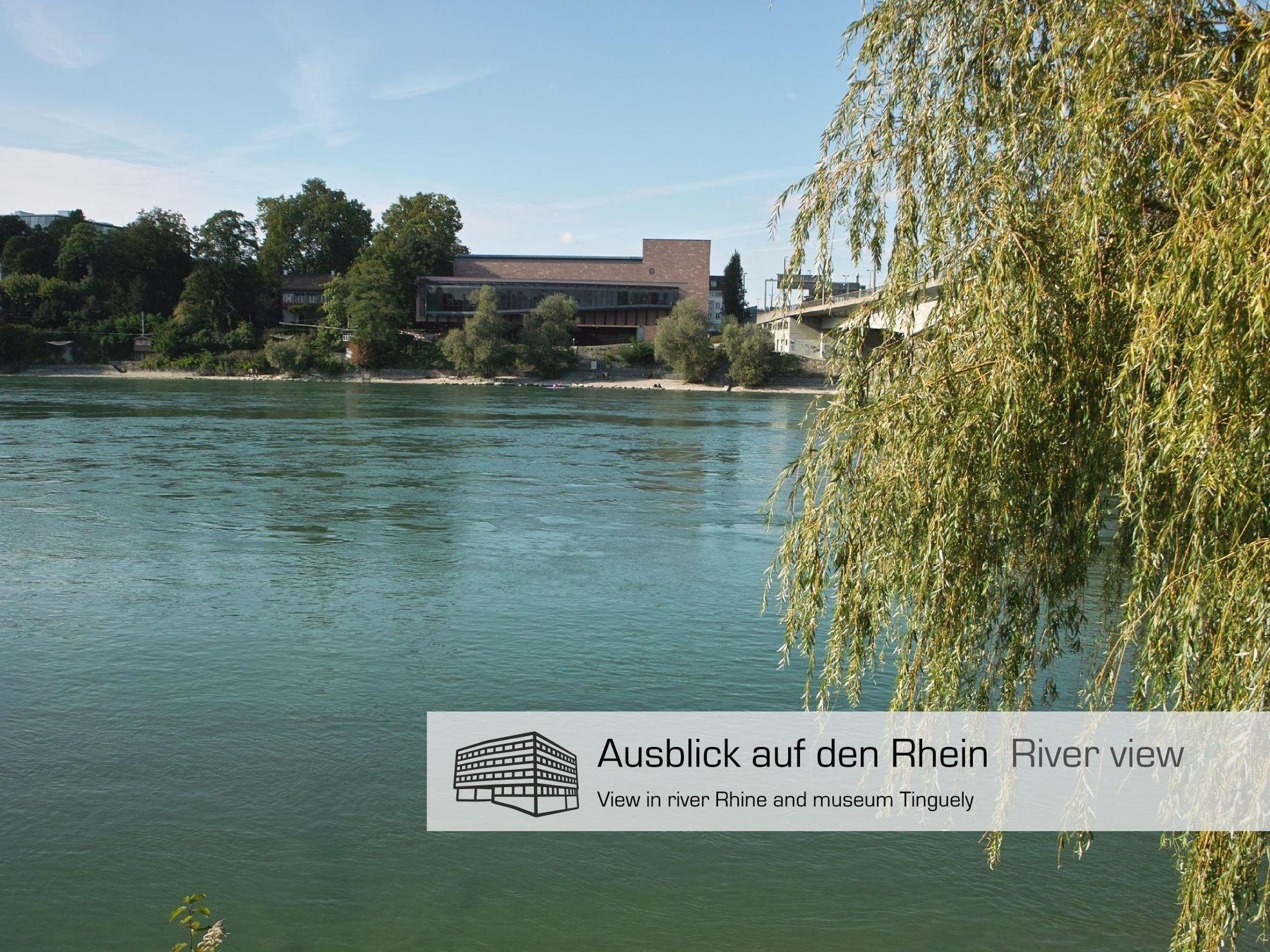 Dasbreitehotel Am Rhein Базел Екстериор снимка
